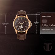 Titan 10076WL01 men's Vetra automatic watch with maroon dial and brown leather strap, case dimensions graphic