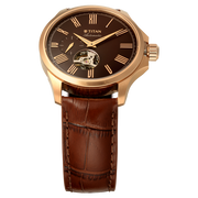 Titan 10076WL01 men's Vetra automatic watch with maroon dial and brown leather strap, angled dial and hands detail