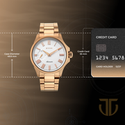 Titan 10076WM01 men's Vetra automatic watch with white dial and pink stainless steel strap, case dimensions graphic