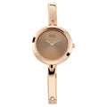 Titan 2606WM05 Raga Viva Quartz Analog Watch with Rose Gold Dial and Rose Gold Metal Strap for Women 28mm