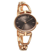 Titan 2748WM01 brown dial quartz analog watch for women
