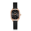 Alexandre Christie 2B40LHBBRBA Women's Classic Quartz Watch 23mm