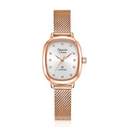 Alexandre Christie 2B40LHBRGSL Women's Classic Quartz Watch 23mm
