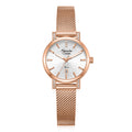 Alexandre Christie 2C20LDBRGSL Women's Classic Quartz Watch 28mm