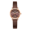 Alexandre Christie 2C20LDBROBO Women's Classic Quartz Watch 28mm