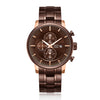 Alexandre Christie 6323MCBROBO Men's Chronograph Quartz Watch 45mm