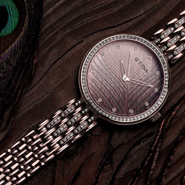 Titan 95129QM01 Purple Animalia Quartz Analog Watch with Brown Dial and Brown Stainless Steel Strap for Women