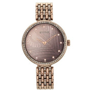 Titan 95129QM01 Purple Animalia watch with brown dial and brown strap, official product view 3