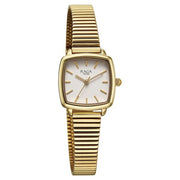 Titan 95355YM01 quartz analog watch for women with champagne dial