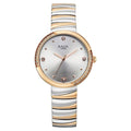 Titan 95427KM01 Raga Spotlight Quartz Analog Watch with Silver Dial and Two-Toned Metal Strap for Women 32mm