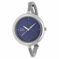 Titan 2532SM01 Raga Garden of Eden Blue Dial Quartz Analog Stainless Steel Strap Watch for Women 31.7mm