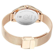 titan-2565wm01-stainless-steel-mesh-strap