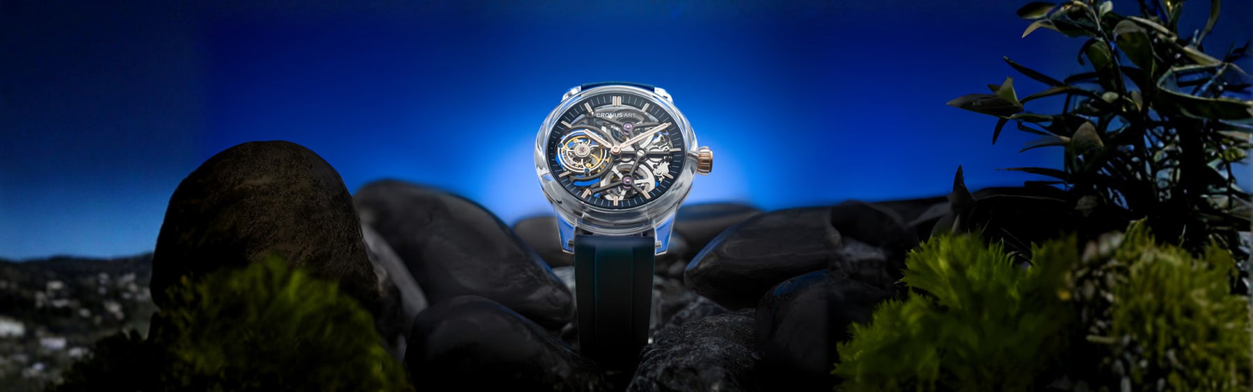 Luxury Watches That Define Your Style