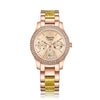 2932BFBRGLNLO Women's Multi-Function Quartz Watch 33mm