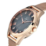  Titan 2565WM01 Sparkle Anthracite Dial Quartz Analog Mesh Strap Watch for Women 32mm