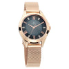 Titan 2565WM01 Sparkle Anthracite Dial Quartz Analog Mesh Strap Watch for Women 32mm