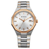 Titan 90212KM01 Regalia Dodecagon silver dial men's analog watch