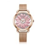 Alexandre Christie 2852LHBRGLN Women's Classic watch 36 mm