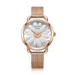 Alexandre Christie 2852LHBRGSL Women's Classic watch 36 mm