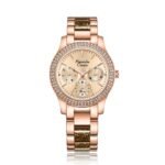 Alexandre Christie 2932BFBRGLNBO Women's Multi-function watch 33 mm