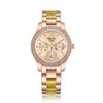 Alexandre Christie 2932BFBRGLNLO Women's Multi-function watch 33 mm