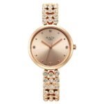 Titan NS95262WM01 Analog watch for Women