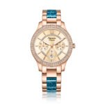Alexandre Christie 2914BFBRGLGLB Women's Multi-function Watch 35mm